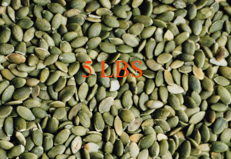 Wholesale Organic Pumpkin Seeds Superfoods Bulk - Image 3 of 4