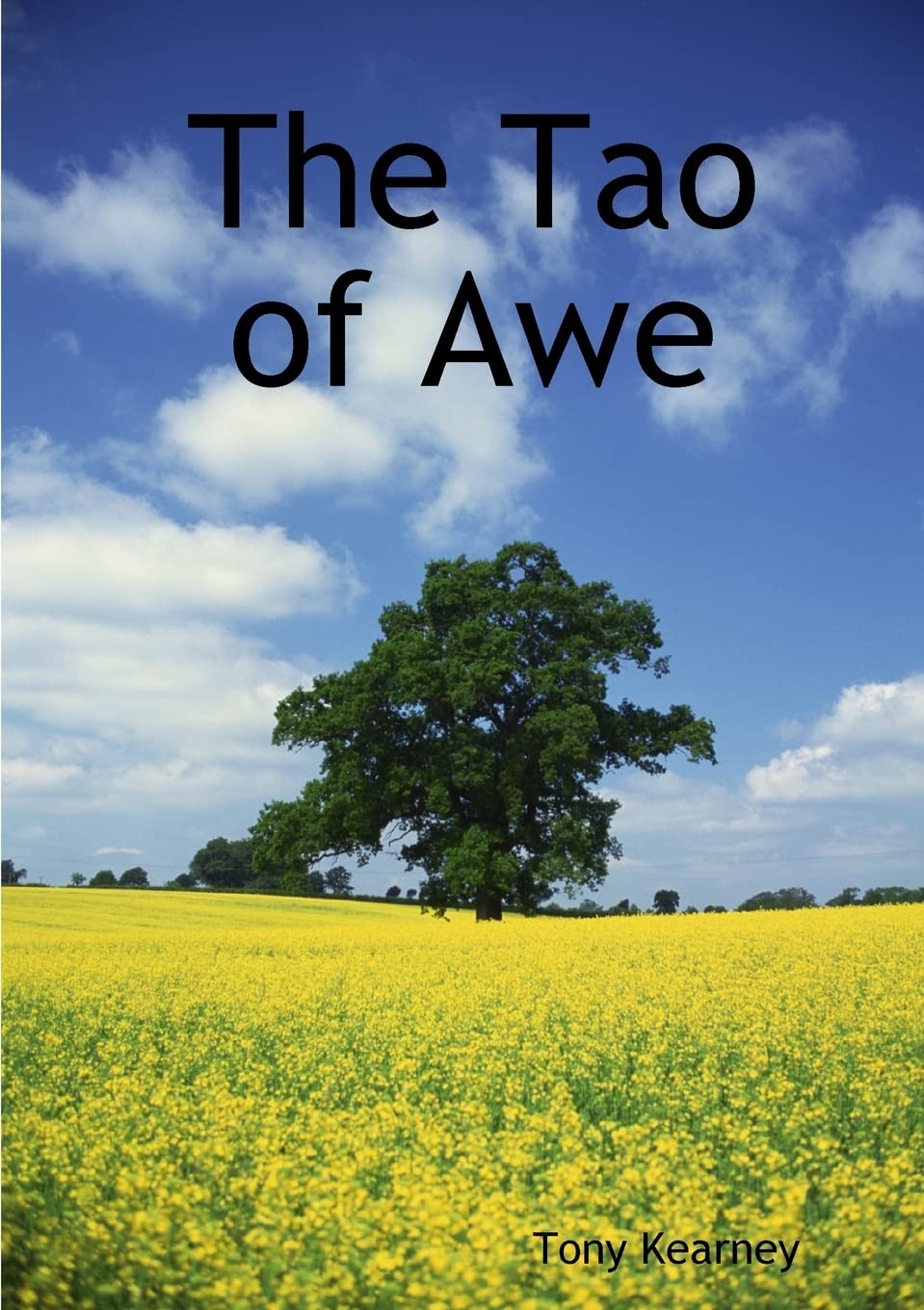 The Tao of Awe,Kearney, Tony Tony Kearney,