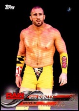 2018 Topps WWE Then Now Forever Wrestling Base Singles (Pick Your Cards)