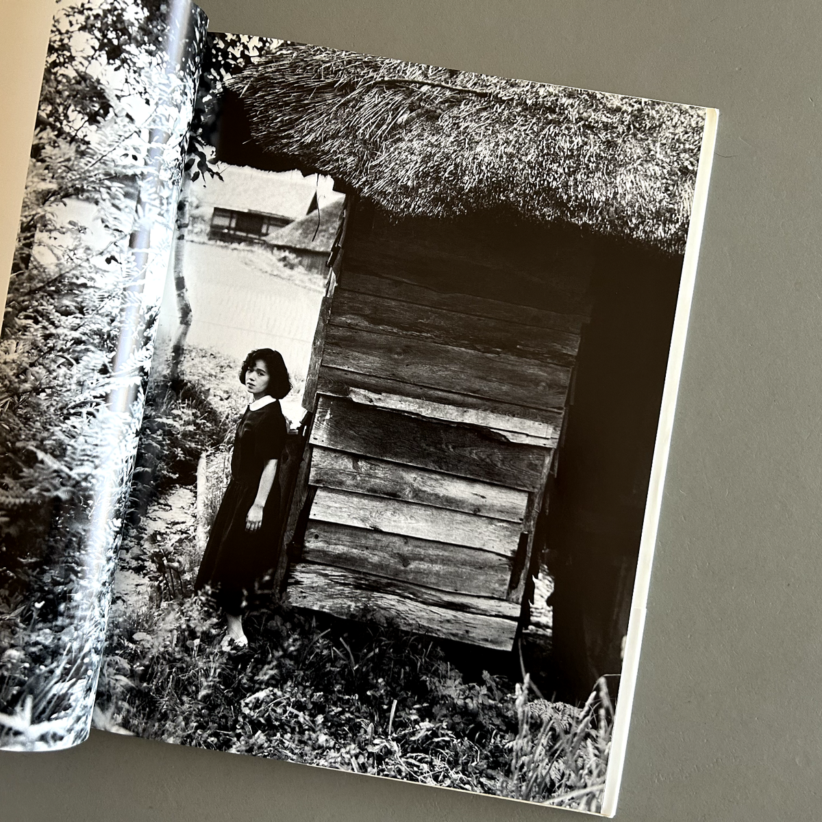 Accidents 3: Light of the Dark Shinoyama Kishin + Shinobu Otake