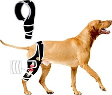Dog Knee Brace, Torn ACL, Any Leg, Wrap for Luxating Patella, Dysplasia, Pain, M