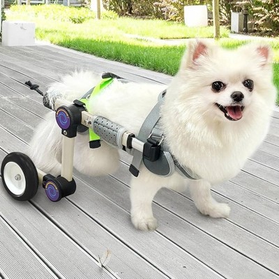 LetPetRun Adjustable Lightweight Dog Wheelchair for Back Leg Mobility Support XS