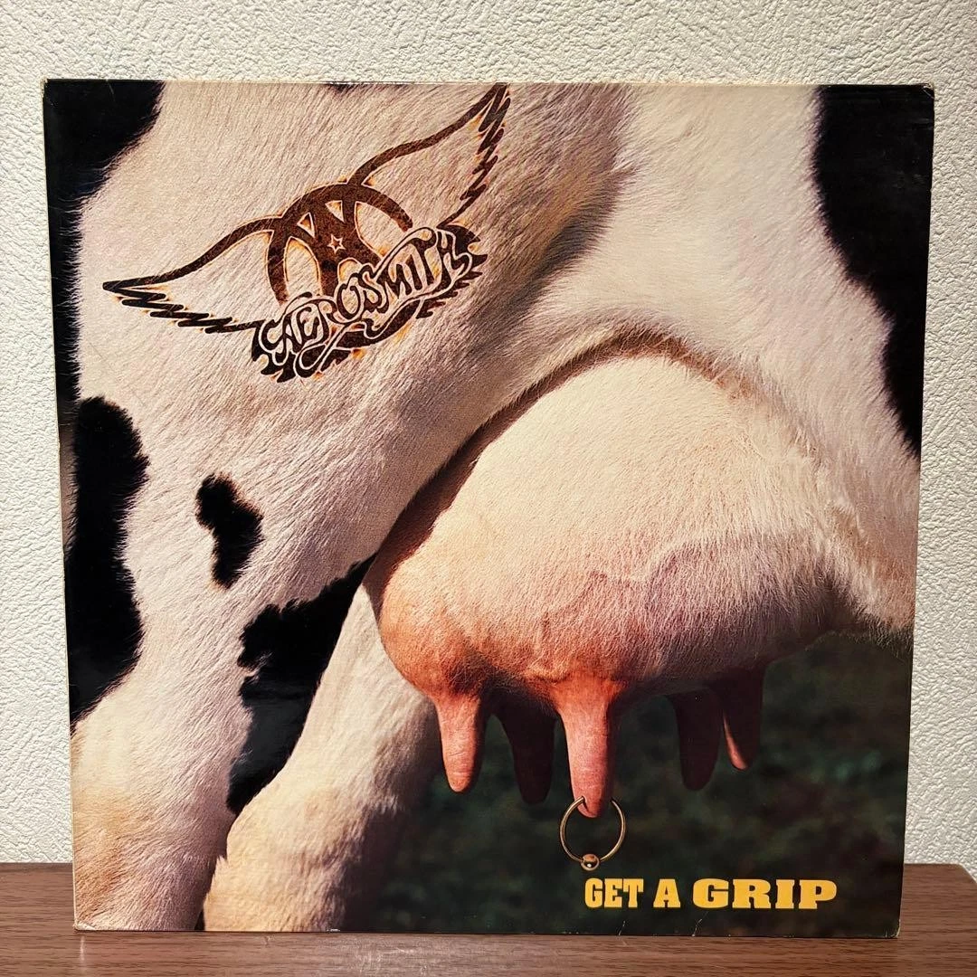 Aerosmith Get A Grip In Vinyl Records for sale | eBay