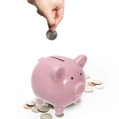 Personalised Money Saving Pot Ceramic Pig Piggy Bank Piggy Bank Adults - Picture 10 of 12