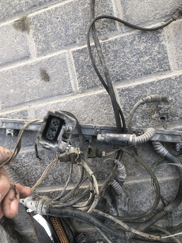 BMW E39 520i 523i 528i M52 M52b28 M52b25 ECU DME EGS ENGINE WIRING HARNESS - Picture 15 of 23