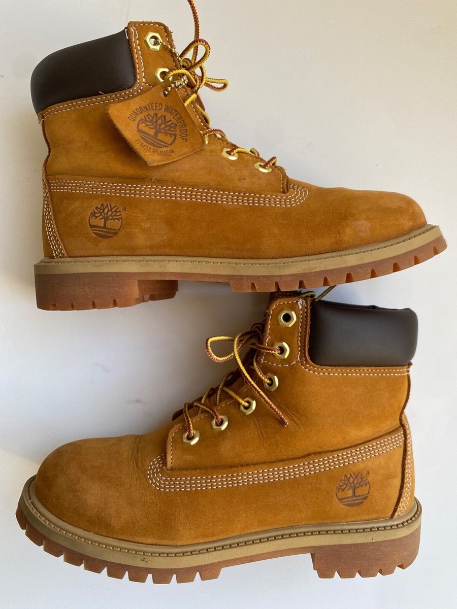 靴 Timberland 12909W TIMBERLAND 12909 (JUNIOR'S) 6IN CLASSIC BT WHEAT NU – Magic