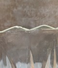 Bild 8 von 12