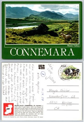 Vtg 1987 John Hinde Connemara Maam Valley Ireland Horse Postcard Posted