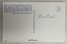 Vintage 1960s Air Force Academy Falconer With Mach 1 Gyrfalcon  Mascot Post Card — photo 2