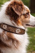 Western Leather Handmade Pet Dog Collar Heavy Duty Hand Tooled Adjustable