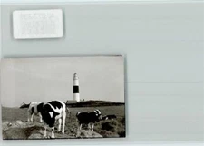 40073236 - 2285 Kampen Lighthouse and Stoves Black Colourful Kitchen Lighthouses