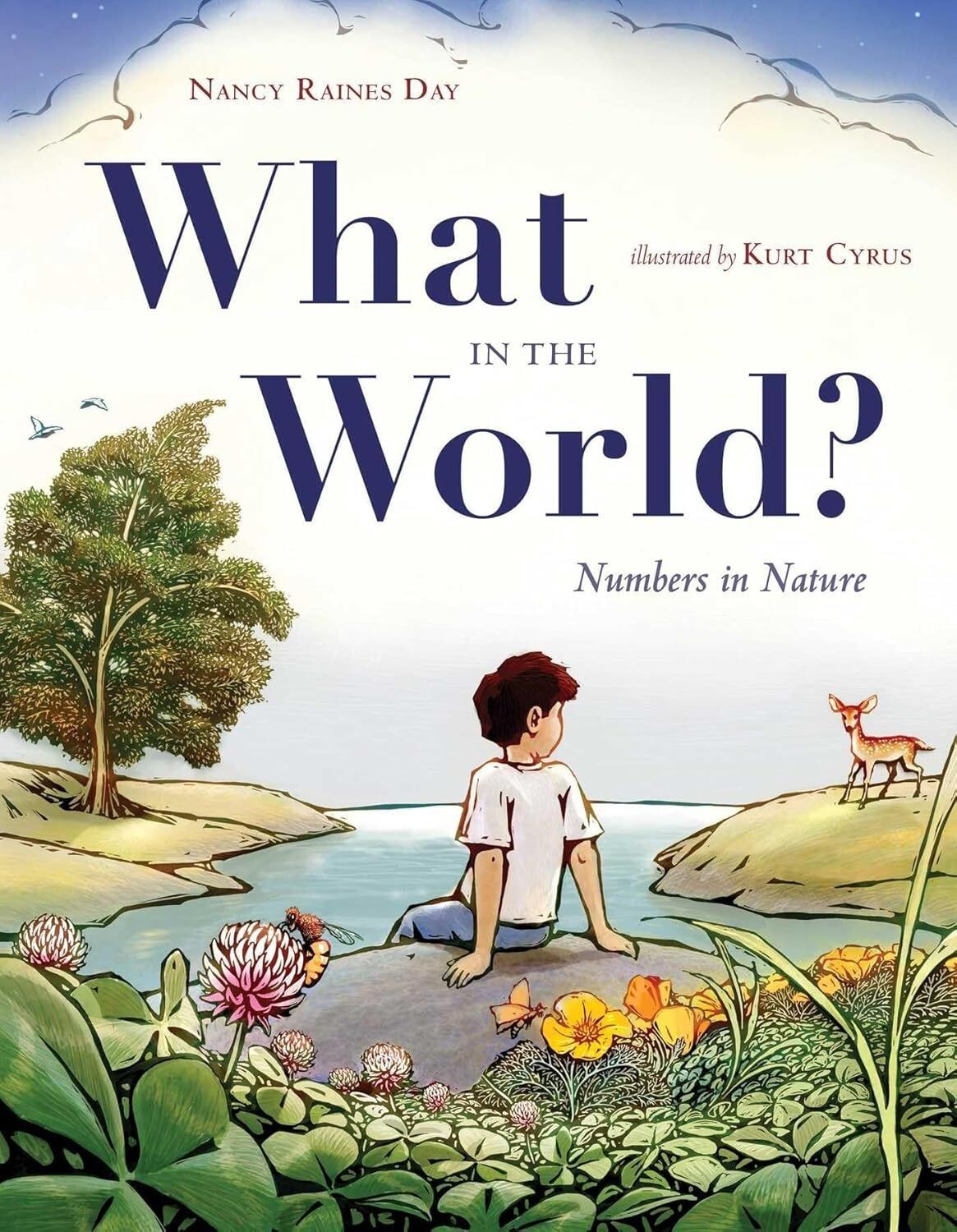 What in the World?: Numbers in Nature (Illustrated Hardcover, 2015)