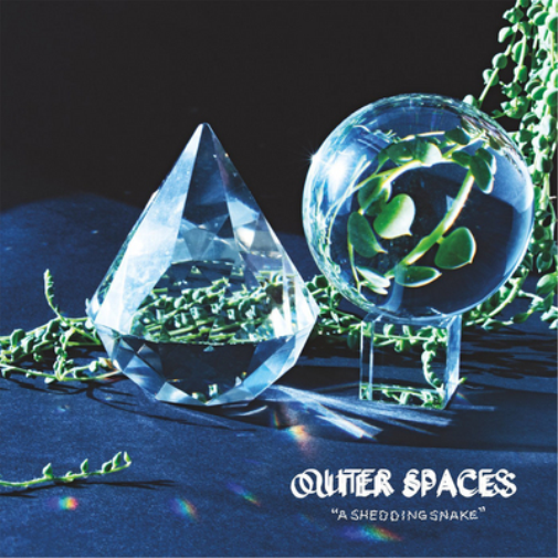 Outer Spaces A Shedding Snake (CD) Album