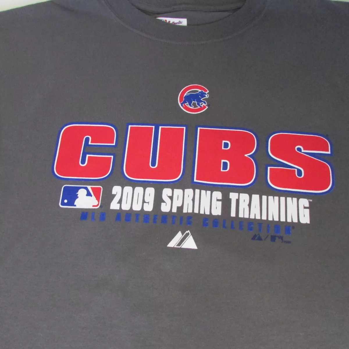 Gildan, Shirts, Nwot Mens Chicago Cubs Shirt