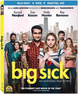 The Big Sick [Blu-ray + DVD + Digital], Good DVD, Ray Romano,Holly Hunter,Zoe Ka