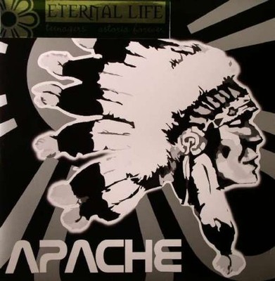 Eternal Life - Teenagers 12'' Vinyl Electronic House, Electro 63813
