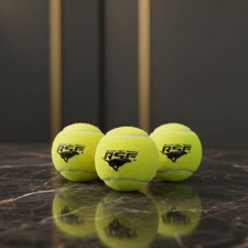 Co. Squeaky Dog Tennis Balls - Ready Set Fetch Dog Toy Tennis Balls with Sque...