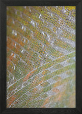 Painting colors on canvas Framed Wall Art Poster Canvas Print Picture