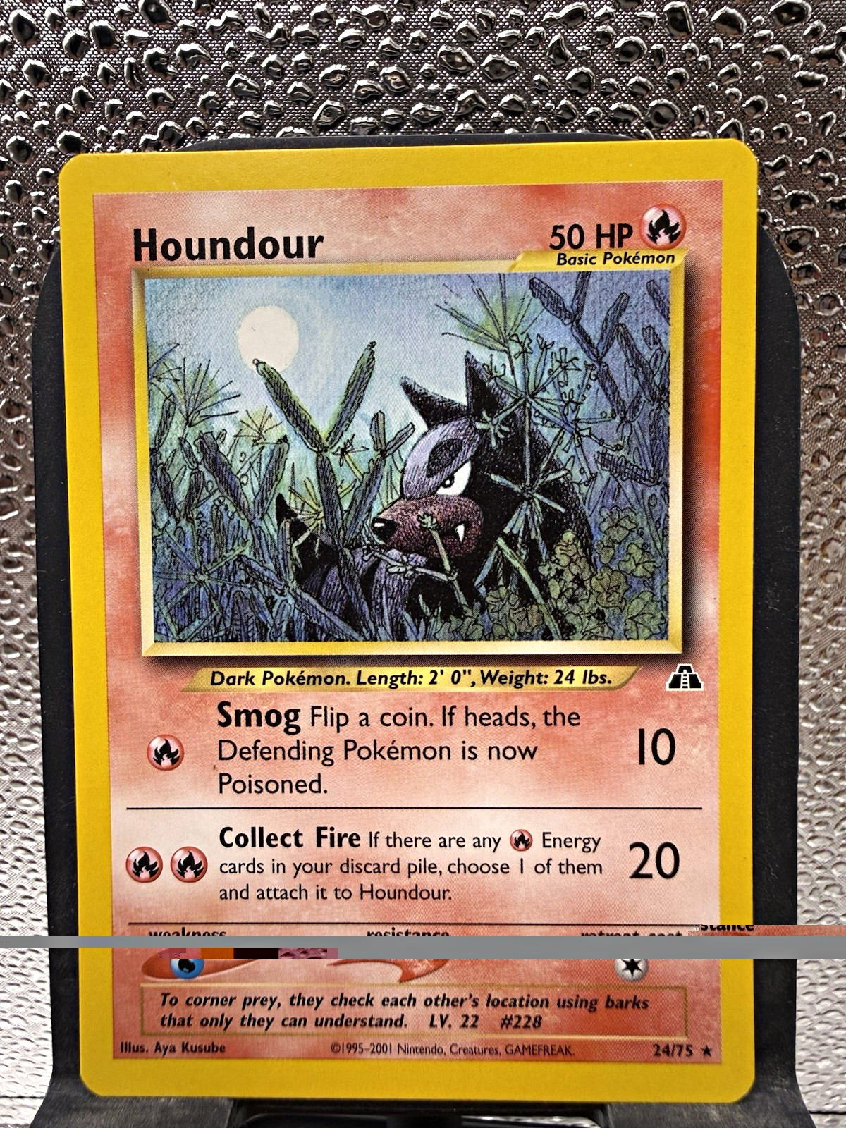 Nintendo Houndour 24/75 Neo Discovery Unlimited Common English 50 HP