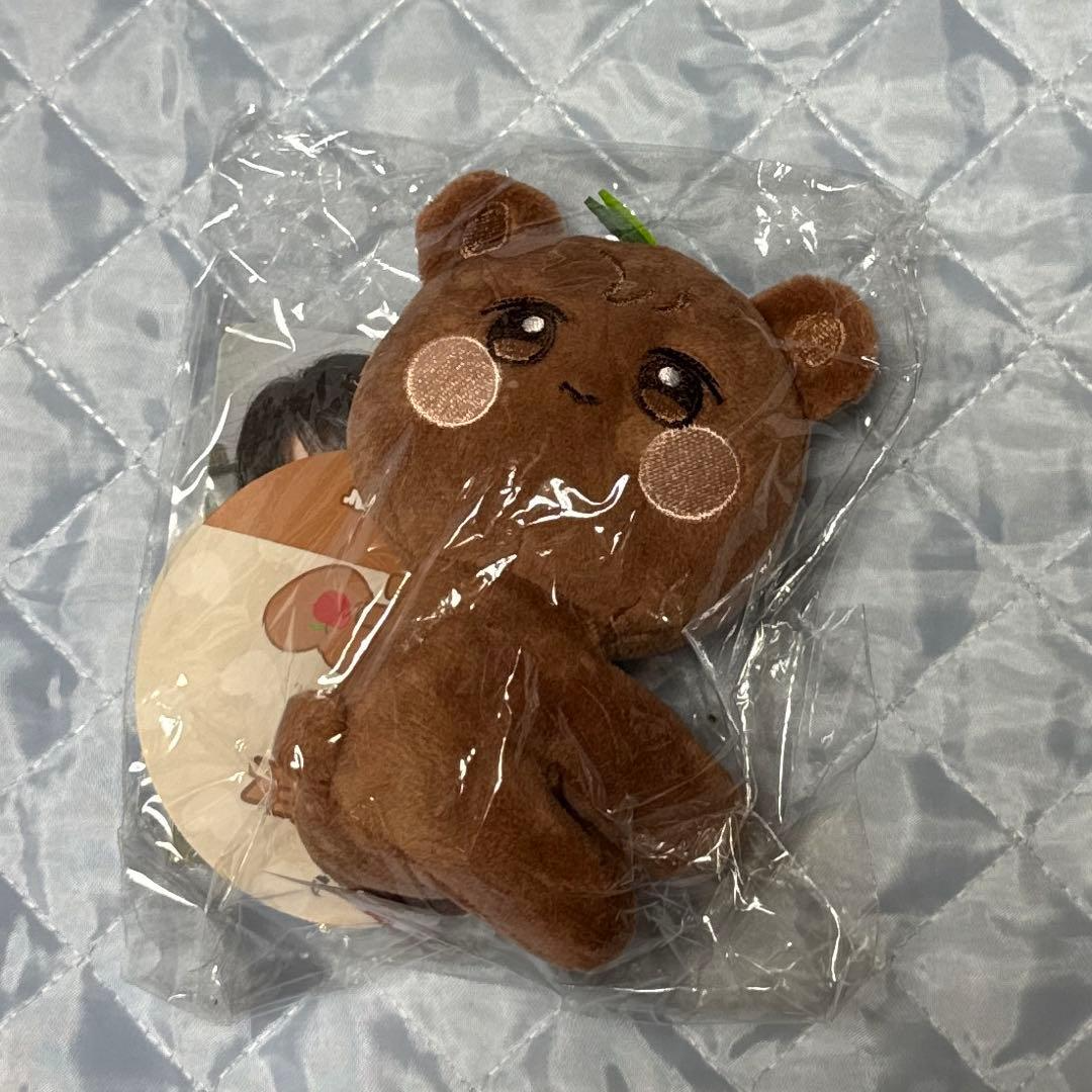 Ateez Aniteez Jongho Jjongbear Plush photo card holder toy doll