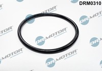 Dr.Motor Automotive Dichtung Drosselklappenstutzen FüR Ford Focus C-Max 1.6