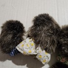 Picture 6 of 7