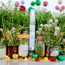 Candy Body Mist Spray