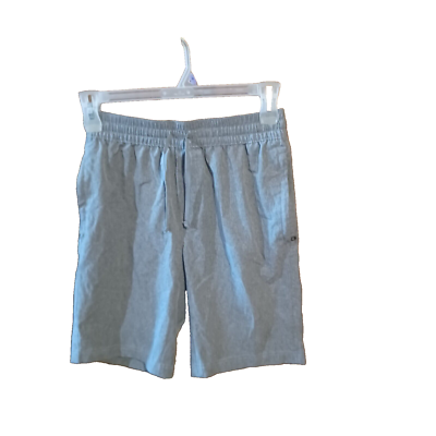 George Gray Dress Shorts Boys Size Small (28-30)