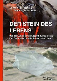 Der Stein des Lebens von Triebnig, Ilse, Schwelz, Ingoma... | Buch | Zustand gut - Bild 1 von 1