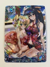 Sexy Group High School DxD Anime Doujin Waifu Art Card R12