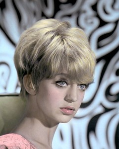 Goldie Hawn Hollywood Actress Director Producer 8x10 Hand Color Tinted Photo Ebay