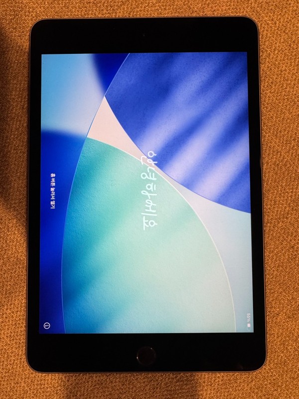 Apple iPad mini (5th Generation) A2133 64 GB, Wi-Fi, 7.9 in - Space Gray