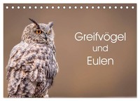 GreifvöGel Und Eulen (Tischkalender 2027 DIN A5 Quer), Calvendo Monatskalender