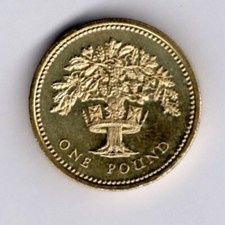 UK £1 One Pound British Coins 1983-2015 CIRCULATED COIN VARIOUS DESIGNS