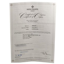 Patek Philippe Complications Annual Calendar Steel Mens Watch 5905 Box Papers 10