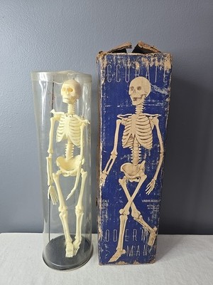 1957 VTG Modern Man Skeleton Model Kit [Superlon Plastics] 1:6 Scale RARE