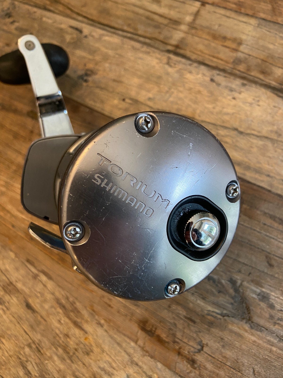 SHIMANO TORIUM 20 CONVENTIONAL REEL eBay