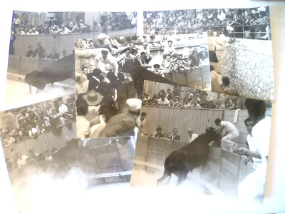 5 ORIGINAL FOTOS CAMARGUE RENNEN UM 1970 18cm x 24cm