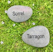 Engraved Herb Pebbles Set of 2 Grey - Sorrel & Tarragon Handmade Fair Trade 