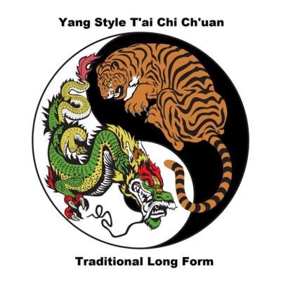 Yang Style Tai Chi Chuan Traditional Long Form 1st Section DVD Rare Unique Style