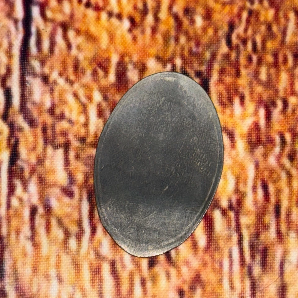 Disney Epcot Living Seas Buscando a Nemo CrushTrutle Moneda Prensada CUARTO Foto 4 de 4