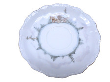 #33 Oregon Trails Oregon IPAT Artista Plato de taza de té de porcelana pintado a mano 1984