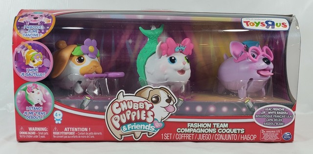 chubby puppies and friends