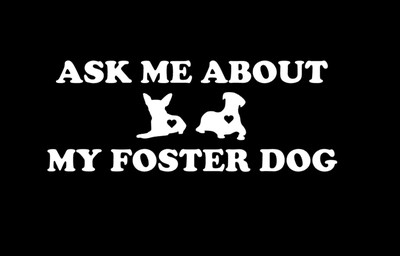 Ask Me About My Foster Dog Decal / Sticker Car decal. Rescue. Adopt.