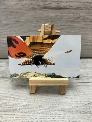 TOHO Japanese Godzilla vs King Ghidorah 1991 Tracing Card - Number 33 UK Seller