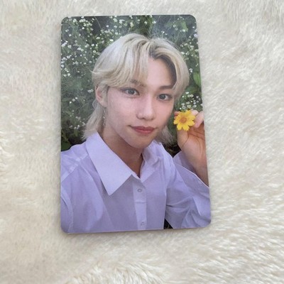 Felix Pili Photocard Edition Stray Kids SOURC
