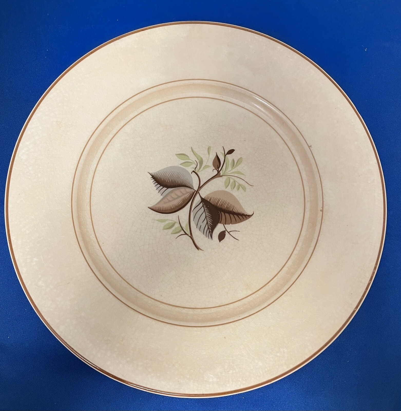 Bristol England Founded 1652 Bone China Plate 9 1/2” Leaf Design eBay