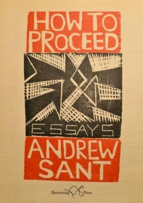  How to Proceed: Essays by Sant New 9781910323229 Fast Free Shipping 
