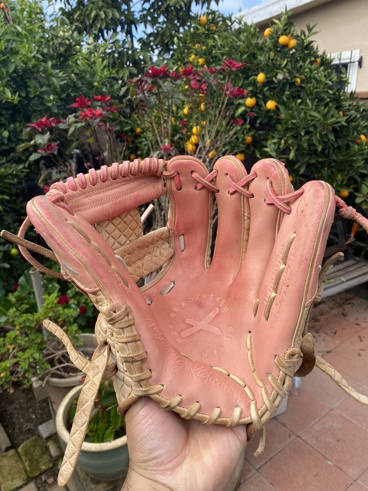 absolutely ridiculous baseball glove Ice Cream eBay