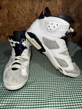 Size 11.5 - Air Jordan 6 Retro LTR Flint